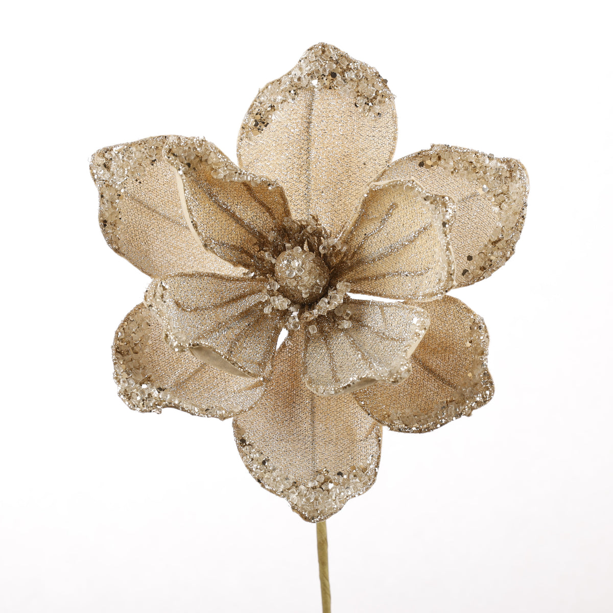 8.5" CHAMPAGNE MAGNOLIA