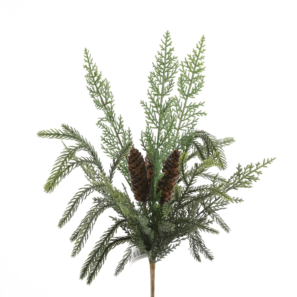 19.5" NORFOLK PINE SPRAY-GRN NAT