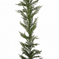6FT REAL TOUCH NORFOLK PINE GARLAND WITH MIXED CYPRESS