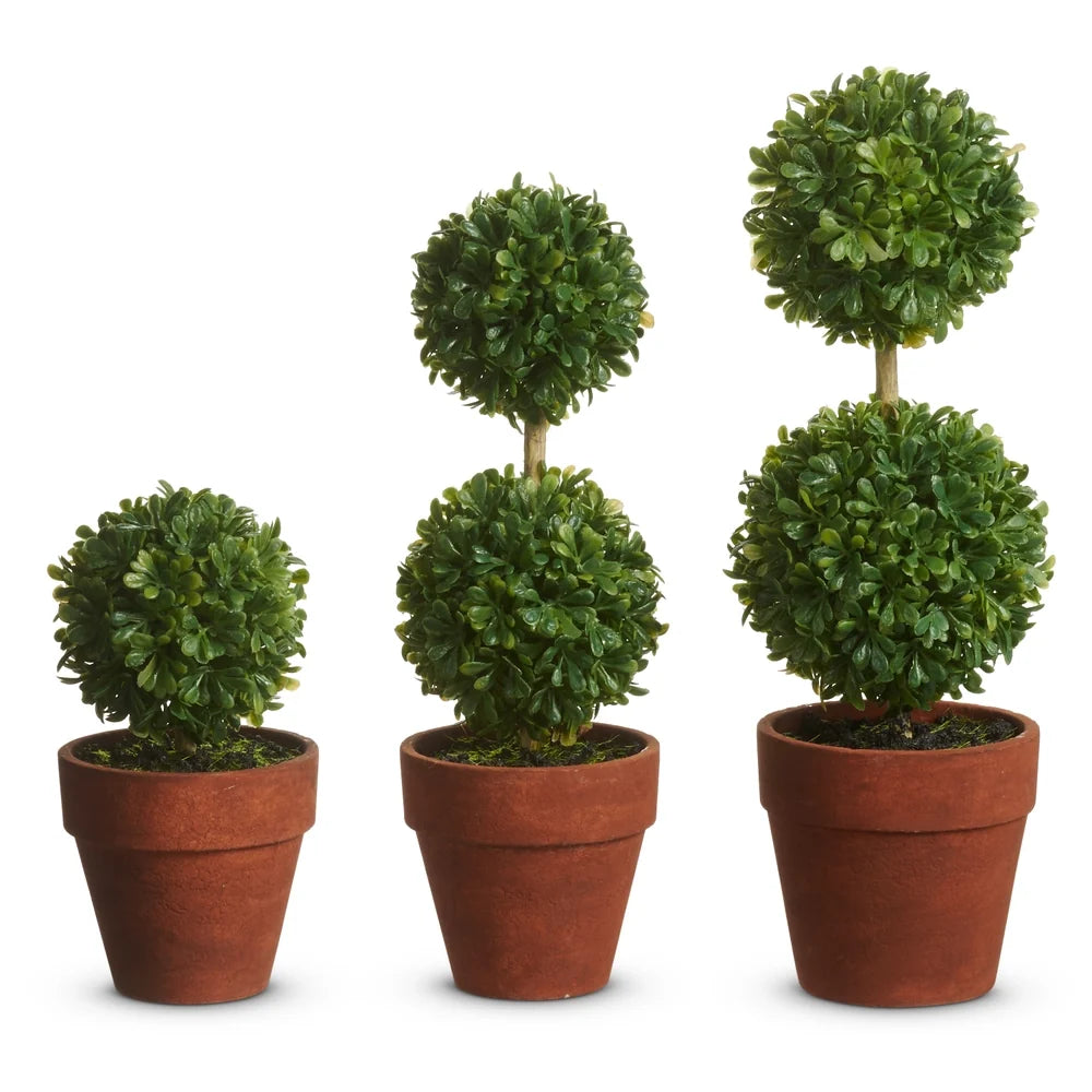 5.5" Potted Mini Boxwood Topiaries (SMALL ONLY)