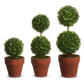 8.5" Potted Mini Boxwood Topiaries (MEDIUM ONLY)