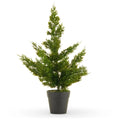 17" Potted Cedar Tree