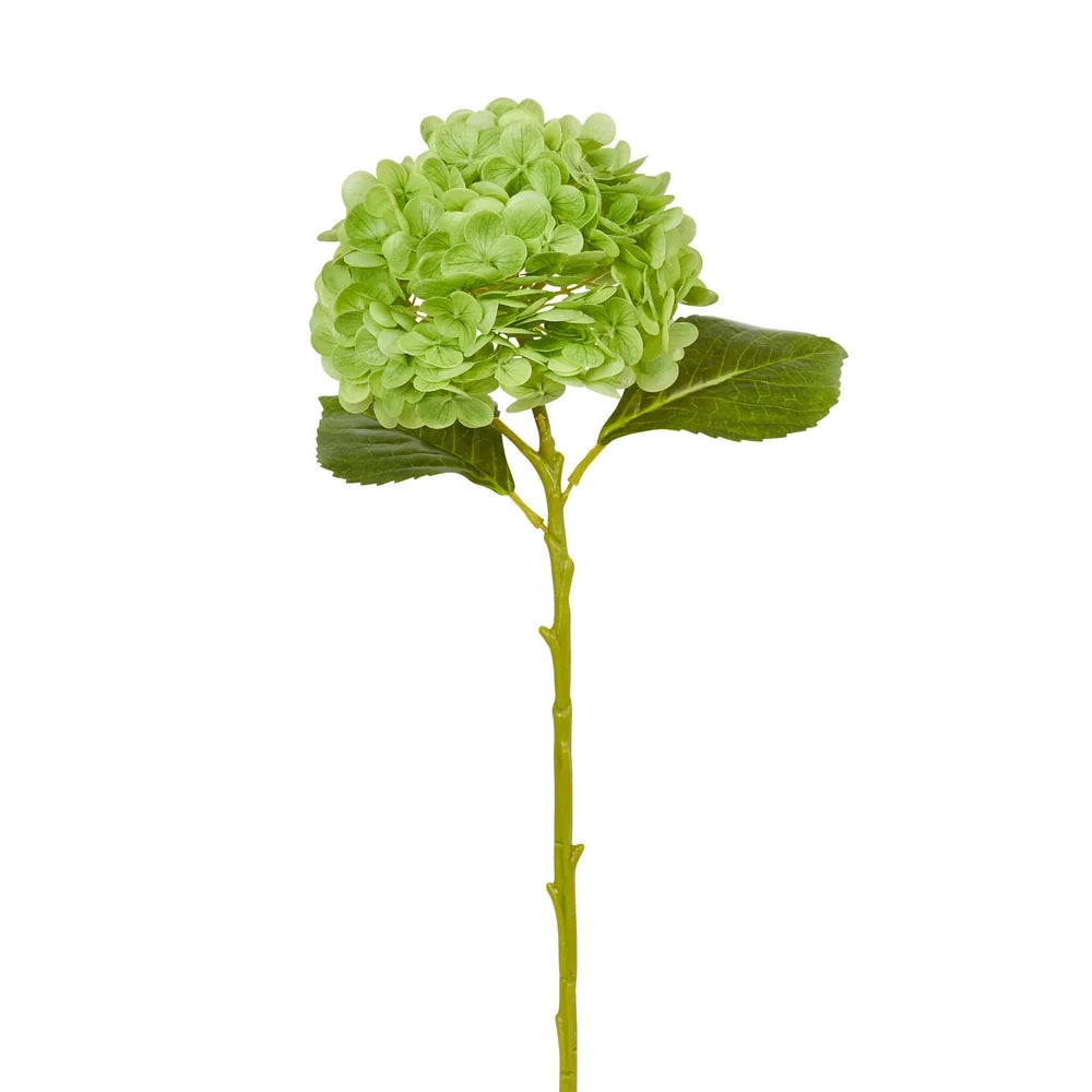 19" Real Touch Green Hydrangea Stem