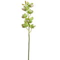 27.5" Green Cymbidium Orchid Stem