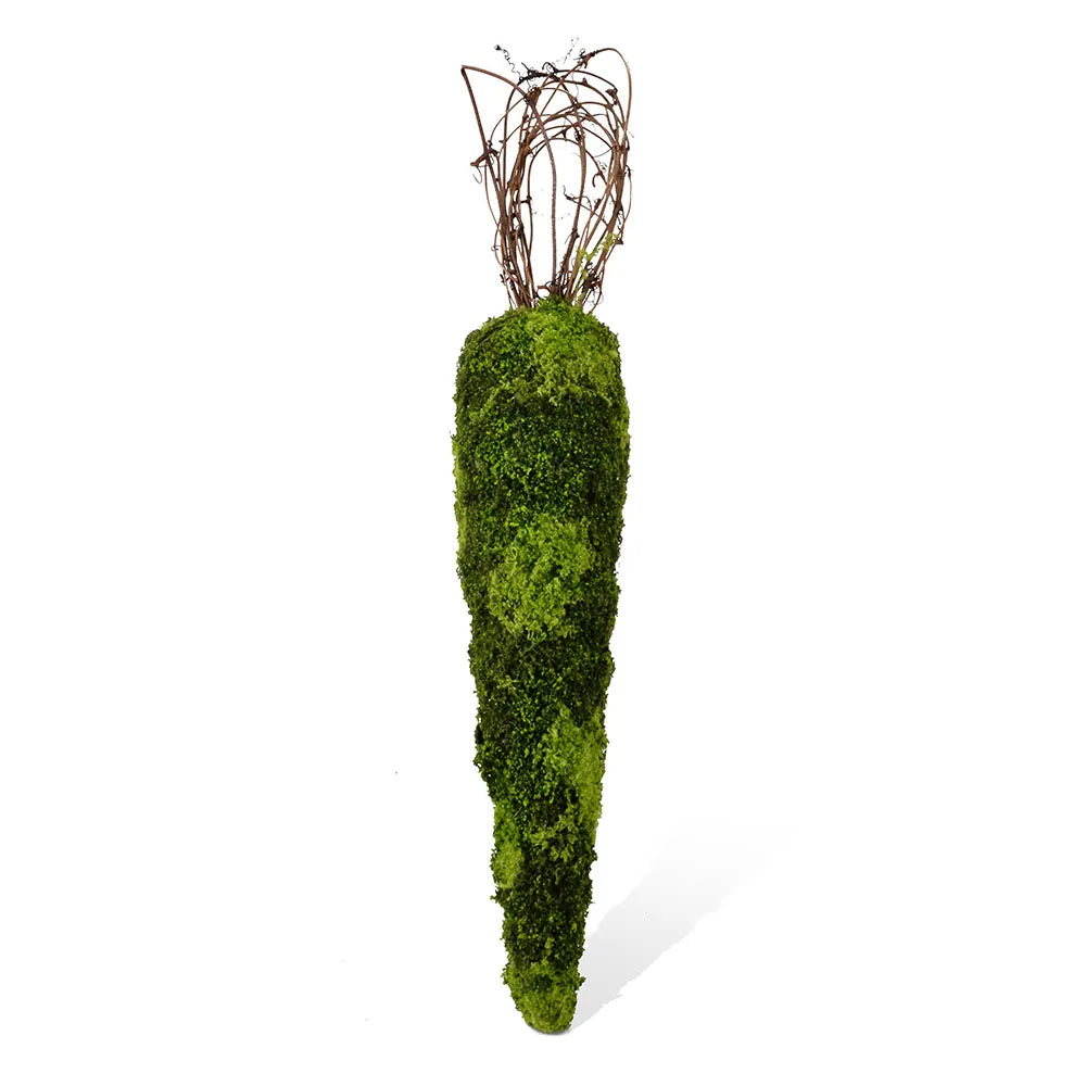 L4.8''W4.8H28.4'' MOSS CARROT